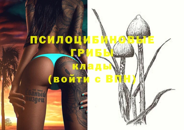 экстази Алзамай
