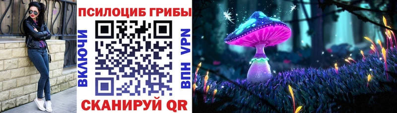 mega ссылка  купить наркотики сайты  Касли  Псилоцибиновые грибы Psilocybine cubensis 
